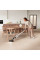 Пылесос аккумуляторный ELECTROLUX ES52CB18SH